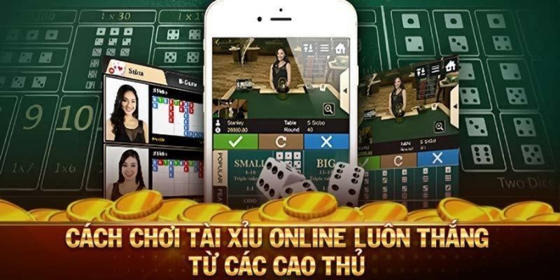 Bật mí tips chơi Tài xỉu online bất bại từ dân chuyên